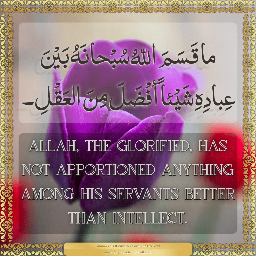 Allah, the Glorified, has not apportioned anything among his servants...